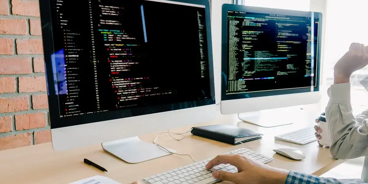 programming skills in CV